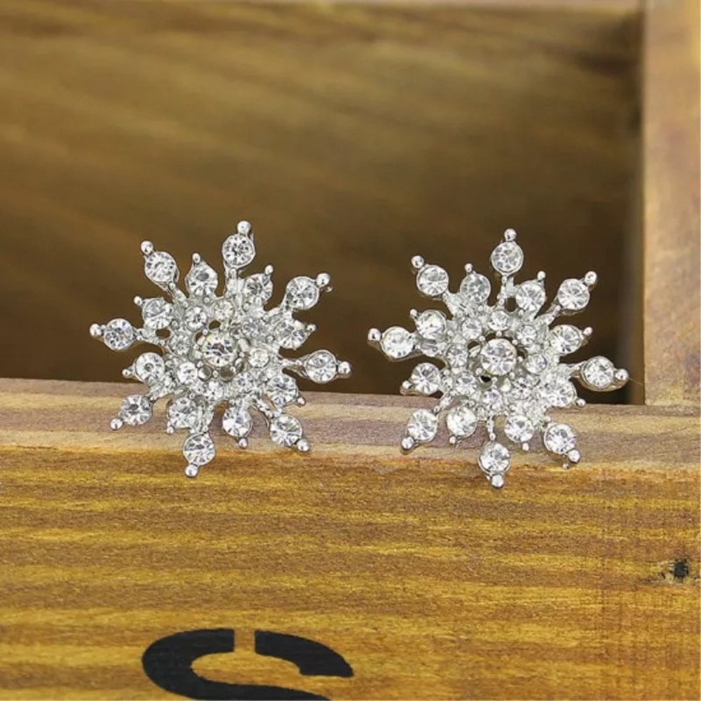 Snow flakes earrings